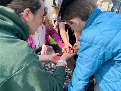 EEC staff showing kids worms from worm bin