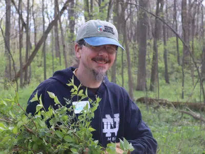 Volunteer removing invasive honeysuckle at Earth Day event