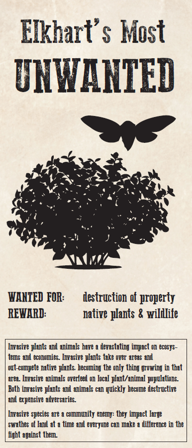 Cover page of Elkhart's Most Unwanted Brochure