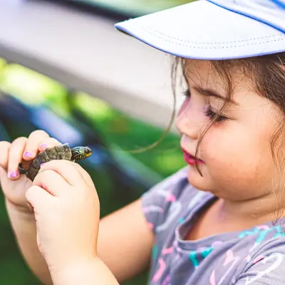 Little girl with turtle at EnviroFest event