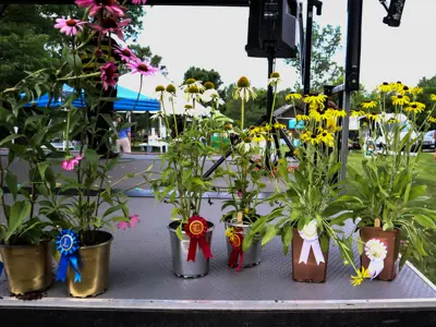 Native plants as prizes for race winners at Pollinator Promenade event