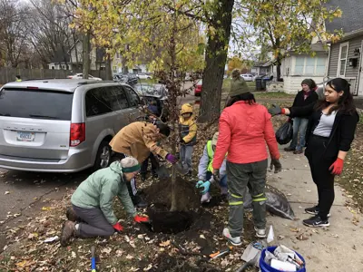 Community members planting street trees