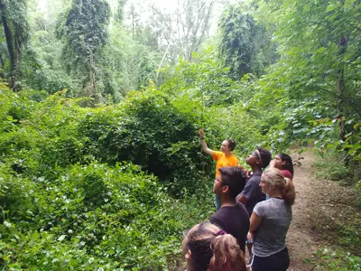 EEC staff leading kids on nature hike
